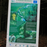 (78/79): Wycieczka na �ys� Hor� 1323 m n.p.m. - 16.03.2014r.