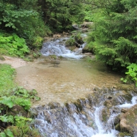 (7/132): Wycieczka na May Rozsutec 17.08.2014r.