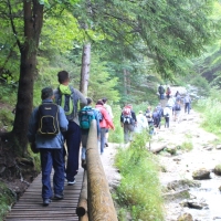 (8/132): Wycieczka na May Rozsutec 17.08.2014r.