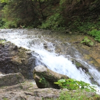 (9/132): Wycieczka na May Rozsutec 17.08.2014r.