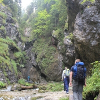 (12/132): Wycieczka na May Rozsutec 17.08.2014r.