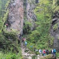 (16/132): Wycieczka na May Rozsutec 17.08.2014r.