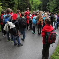 (10/209): I Rajd Grski Dla Uczniw Szk Podstawowych 18.05.2014r.