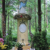 (15/131): Wycieczka rowerowa 21.06.2014r.