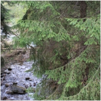 (8/105): 22.09.2013_babia_gora_008.jpg