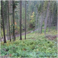 (16/105): 22.09.2013_babia_gora_016.jpg