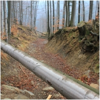(8/90): Ostre - Malinowska Ska�a - Ma�e Skrzyczne - Skrzyczne - Ostre
