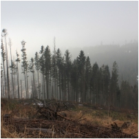 (12/90): Ostre - Malinowska Ska�a - Ma�e Skrzyczne - Skrzyczne - Ostre