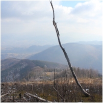 (66/90): Ostre - Malinowska Ska�a - Ma�e Skrzyczne - Skrzyczne - Ostre