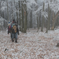 (12/95): Ustro Zdrj - Maa Czantoria - Czantoria Wielka - Soszw Wielki - Stoek - Kiczory - Mraznica - Wisa Gbce