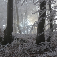 (14/95): Ustro Zdrj - Maa Czantoria - Czantoria Wielka - Soszw Wielki - Stoek - Kiczory - Mraznica - Wisa Gbce