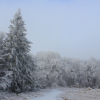 (18/95): Ustro Zdrj - Maa Czantoria - Czantoria Wielka - Soszw Wielki - Stoek - Kiczory - Mraznica - Wisa Gbce