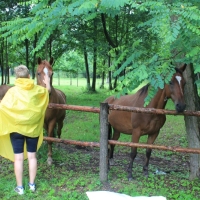 (23/429): OBZ ROWEROWY 9-13.07.2014