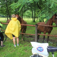 (24/429): OBZ ROWEROWY 9-13.07.2014