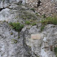 (51/429): OBZ ROWEROWY 9-13.07.2014