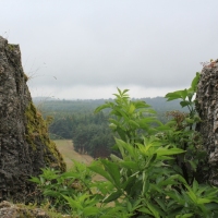 (72/429): OBZ ROWEROWY 9-13.07.2014