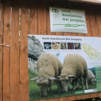 (81/429): OBZ ROWEROWY 9-13.07.2014