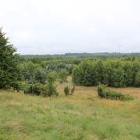 (88/429): OBZ ROWEROWY 9-13.07.2014