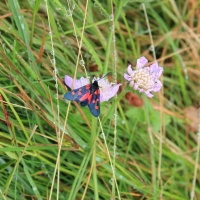 (91/429): OBZ ROWEROWY 9-13.07.2014