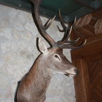 (139/429): OBZ ROWEROWY 9-13.07.2014