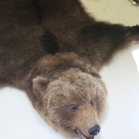 (141/429): OBZ ROWEROWY 9-13.07.2014