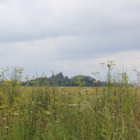 (203/429): OBZ ROWEROWY 9-13.07.2014