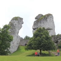 (208/429): OBZ ROWEROWY 9-13.07.2014