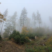 (7/58): Rajd Grski PTTK 04.10.2014r.