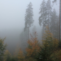 (8/58): Rajd Grski PTTK 04.10.2014r.