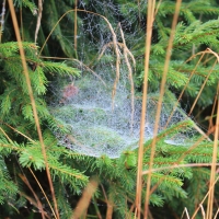 (9/58): Rajd Grski PTTK 04.10.2014r.