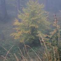 (10/58): Rajd Grski PTTK 04.10.2014r.