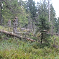 (18/62): Wycieczka na Babi Gr 07.09.2014r.