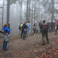 (13/101): Wycieczka na Boraczą, Lipowską i Rysiankę 03.12.2014r.