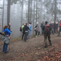 (13/101): Wycieczka na Boracz, Lipowsk i Rysiank 03.12.2014r.