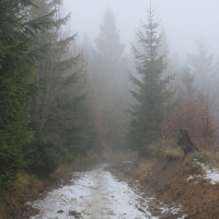 (15/101): Wycieczka na Boraczą, Lipowską i Rysiankę 03.12.2014r.