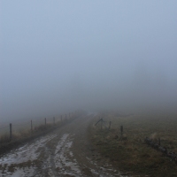 (16/101): Wycieczka na Boraczą, Lipowską i Rysiankę 03.12.2014r.