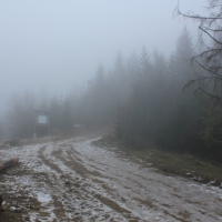 (17/101): Wycieczka na Boraczą, Lipowską i Rysiankę 03.12.2014r.