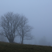 (26/101): Wycieczka na Boracz, Lipowsk i Rysiank 03.12.2014r.