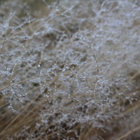 (28/101): Wycieczka na Boracz, Lipowsk i Rysiank 03.12.2014r.