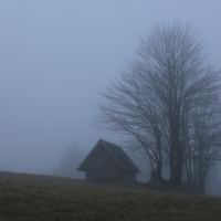 (29/101): Wycieczka na Boracz, Lipowsk i Rysiank 03.12.2014r.