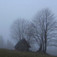 (30/101): Wycieczka na Boracz, Lipowsk i Rysiank 03.12.2014r.