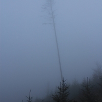 (33/101): Wycieczka na Boracz, Lipowsk i Rysiank 03.12.2014r.