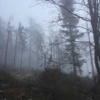 (35/101): Wycieczka na Boracz, Lipowsk i Rysiank 03.12.2014r.