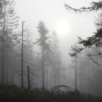 (38/101): Wycieczka na Boracz, Lipowsk i Rysiank 03.12.2014r.