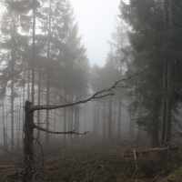 (39/101): Wycieczka na Boracz, Lipowsk i Rysiank 03.12.2014r.