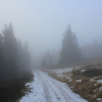(40/101): Wycieczka na Boracz, Lipowsk i Rysiank 03.12.2014r.