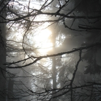 (41/101): Wycieczka na Boracz, Lipowsk i Rysiank 03.12.2014r.