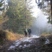 (42/101): Wycieczka na Boracz, Lipowsk i Rysiank 03.12.2014r.