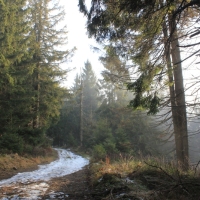 (43/101): Wycieczka na Boracz, Lipowsk i Rysiank 03.12.2014r.