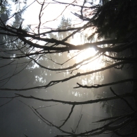 (44/101): Wycieczka na Boracz, Lipowsk i Rysiank 03.12.2014r.